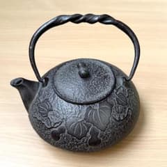 南部鉄器 宝生堂 鉄瓶 瓢箪 急須 煎茶道具 茶道具 南部鉄器 宝生堂 鉄瓶 瓢箪 急須 煎茶道具 茶道具 - メルカリ