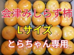 会津みしらず柿　4.5kg Ｌサイズ　無農薬のサムネイル