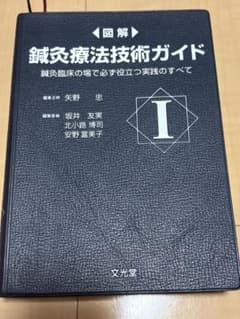 図解 鍼灸療法技術ガイド I 文光堂のサムネイル