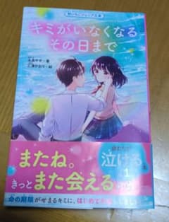 キミがいなくなるその日まで 野いちごジュニア文庫のサムネイル