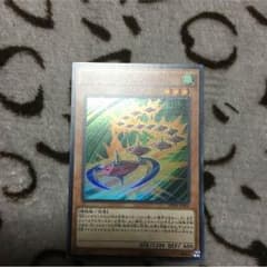 ひょうきん様専用SR ベイゴマックスのサムネイル
