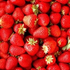 sugar♡様専用のサムネイル