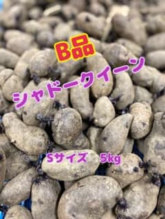 じゃがいも　シャドークイーン　B品　訳ありのサムネイル