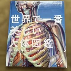 世界で一番美しい人体図鑑のサムネイル