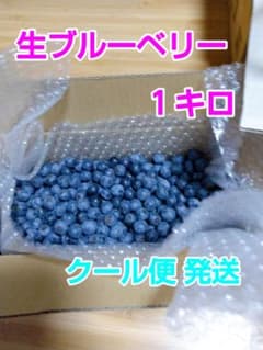 ブルーベリー １キロ クール(冷蔵)便発送のサムネイル
