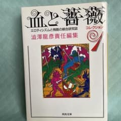 澁澤龍彦　血と薔薇 初版　4巻セット 澁澤龍彦 血と薔薇 初版 4巻セット 澁澤龍彦 血と薔薇 初版 4