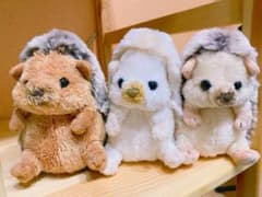 ハリネズミ　ぬいぐるみのサムネイル