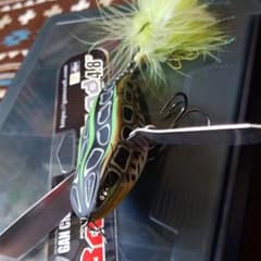 りゅうと様専用のサムネイル