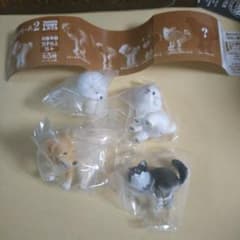 ガチャ　ふるばりーぬ2　ビジョンフリーゼ　ゴールデンリトリバー　チワワ