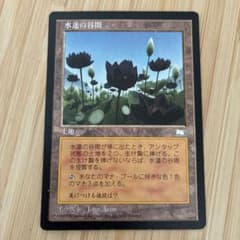 MTG 水蓮の谷間 日本語版のサムネイル
