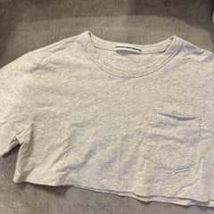 Alexander Wang クロップドTシャツ グレー XS - メルカリ
