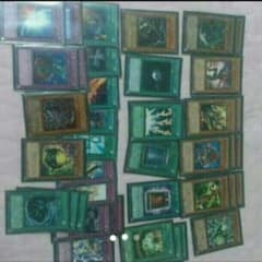 りく様専用のサムネイル