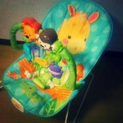 2,000→1000値下げ fisher-price バウンサーのサムネイル