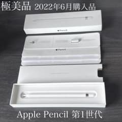極美品　2022年6月購入　正常動作品　Apple Pencil 第1世代　K4 極美品 2022年6月購入 正常動作品 Apple Pencil 第1世代 K4 - メルカリ