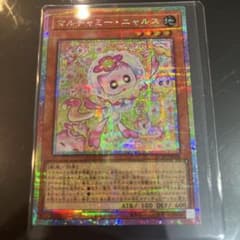 マルチャミーニャルス