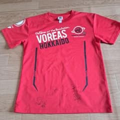 ヴォレアス 北海道 バレーボールTシャツ SS ファイテン ミズノ