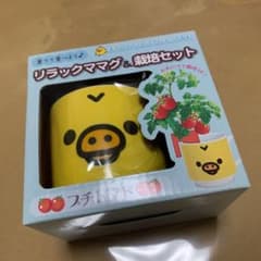 キイロイトリ 栽培セットのサムネイル