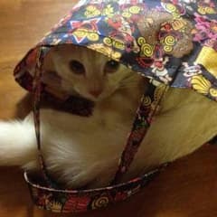 ノラ猫様♡専用のサムネイル