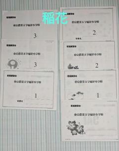 東京農業大学稲花小学校☆理英会&ジャック夏期講習プリントセット 小学校受験 ジャック 東京農業大学稲花小学校 夏期講習 - メルカリ