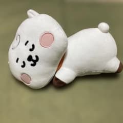 BT21 RJ 봉제인형 30cm