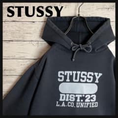 STUSSY◎オールド カレッジロゴ 90s パーカー D293 - メルカリ
