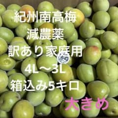 ②紀州南高梅 減農薬 訳あり家庭用 4L〜3L大きめ 箱込み5キロ - メルカリ