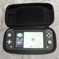 Nintendo Switch Lite 本体 グレー ケース付きのサムネイル