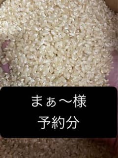 まぁ〜様　予約分　魚ひのサムネイル