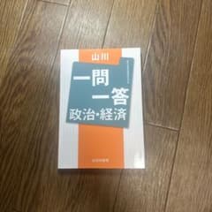 一問一答 政治・経済 山川出版社のサムネイル