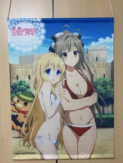 아마기 브릴리언트 파크 B2 태피스트리