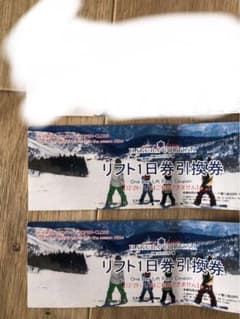 HAKUBA CORONA リフト1日券 2枚セットのサムネイル