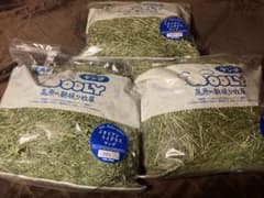 WOOLY イタリアンライグラスヤング (細かい葉のみ集めました) ×3袋のサムネイル