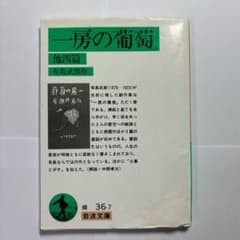 一房の葡萄 他四篇 有島武郎 岩波文庫のサムネイル
