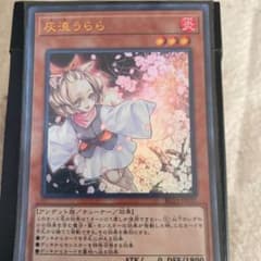 遊戯王 灰流うらら ウルトラレアのサムネイル