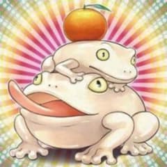 【イシュタムさん専用】遊戯王 浮幽さくら 3枚セットのサムネイル