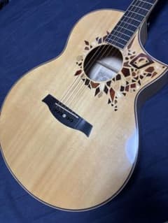 牛骨☆エレアコ】Ibanez！エキゾチックウッド【弾き易く調整☆新品の弦