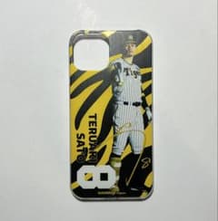 m30294090892_1.jpg?1732197060