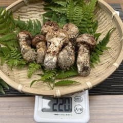 mimi様【値段交渉可】信州産 採りたて松茸 226gのサムネイル