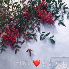 YUKKI❤️さま専用のサムネイル