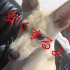 服 財布のサムネイル