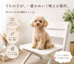 ペット用 折りたたみ撮影チェア ホワイト ペット用 折りたたみ撮影チェア ホワイト - メルカリ