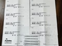 理英会　年長夏期志望校別ゼミ　早稲田実業学校初等部　授業内容表四回分 理英会 2023年度 夏期志望校別ゼミ 精華小学校II 教材セット - メルカリ