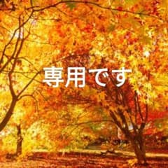 希少 美しい本革】ILBISONTE レザートートバッグ A4大容量 バイソン 