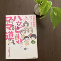 ハッピーママ道 : 妊娠と産後がラクになる!5タイプ別のサムネイル