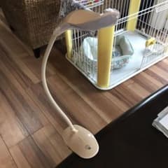 スタンドライトのサムネイル