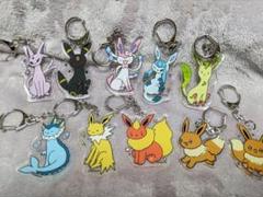 ぷろじえくといーぶいだよ アクリルキーホルダー ポケモンセンター ブイズ ぷろじえくといーぶいだよ アクリルキーホルダー ポケモン