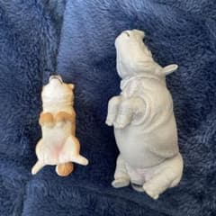 柴犬とサイ　ガチャのサムネイル