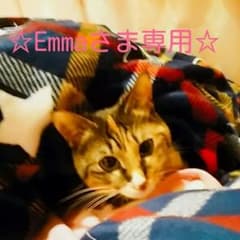 Emmaさま専用のサムネイル