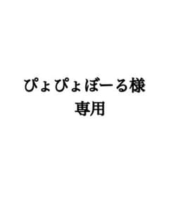 ぴょぴょぼーる様専用ページです。のサムネイル