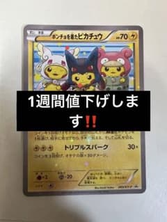 ポンチョを着たピカチュウのサムネイル